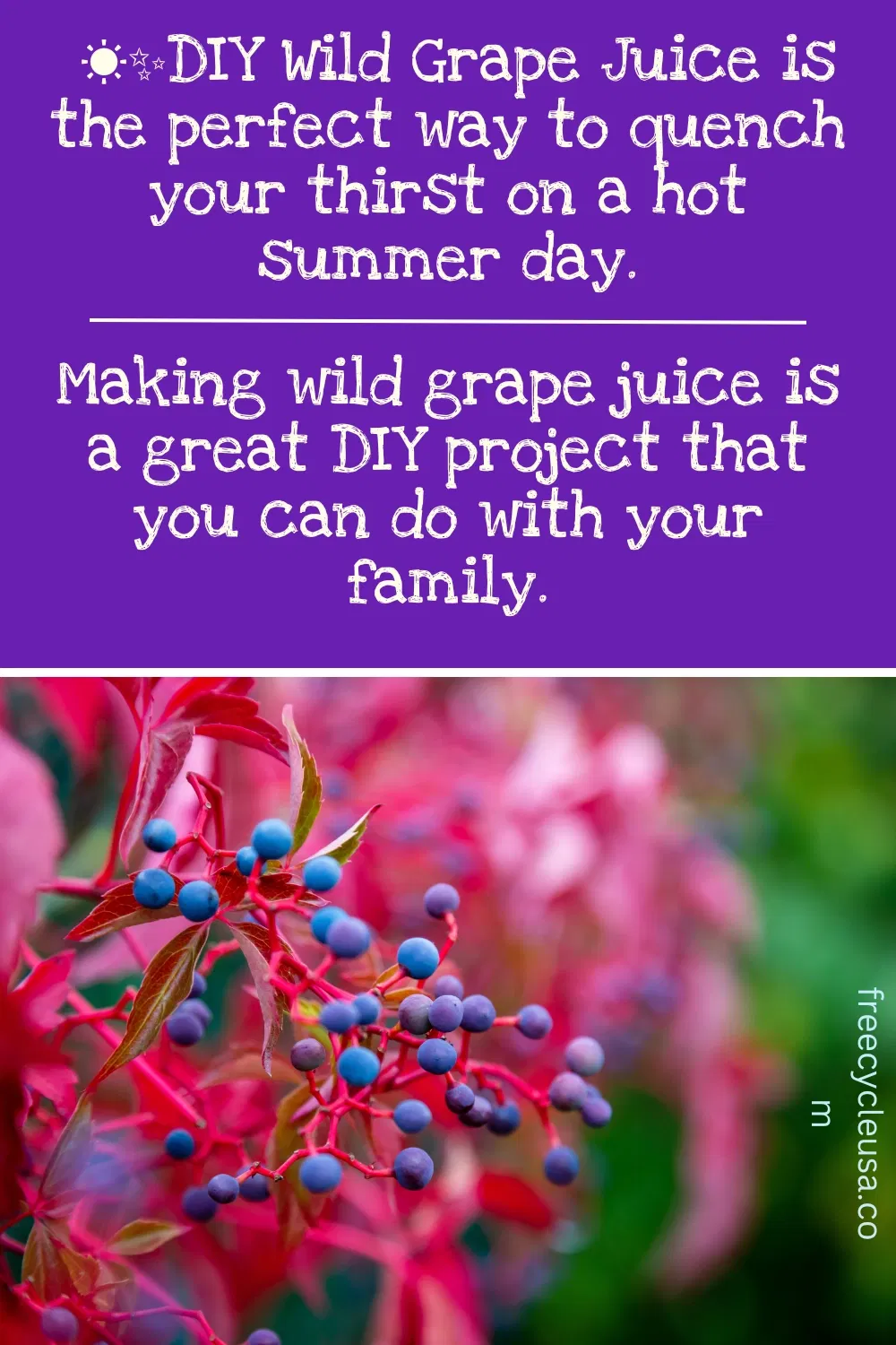 DIY Grape Juice
