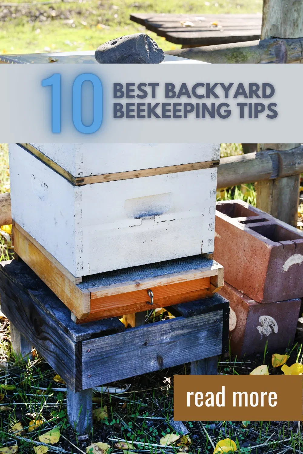 Backyard Beekeeping Tips