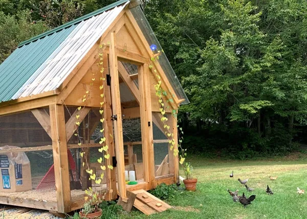 Jamaica Cottage Chciken Coop