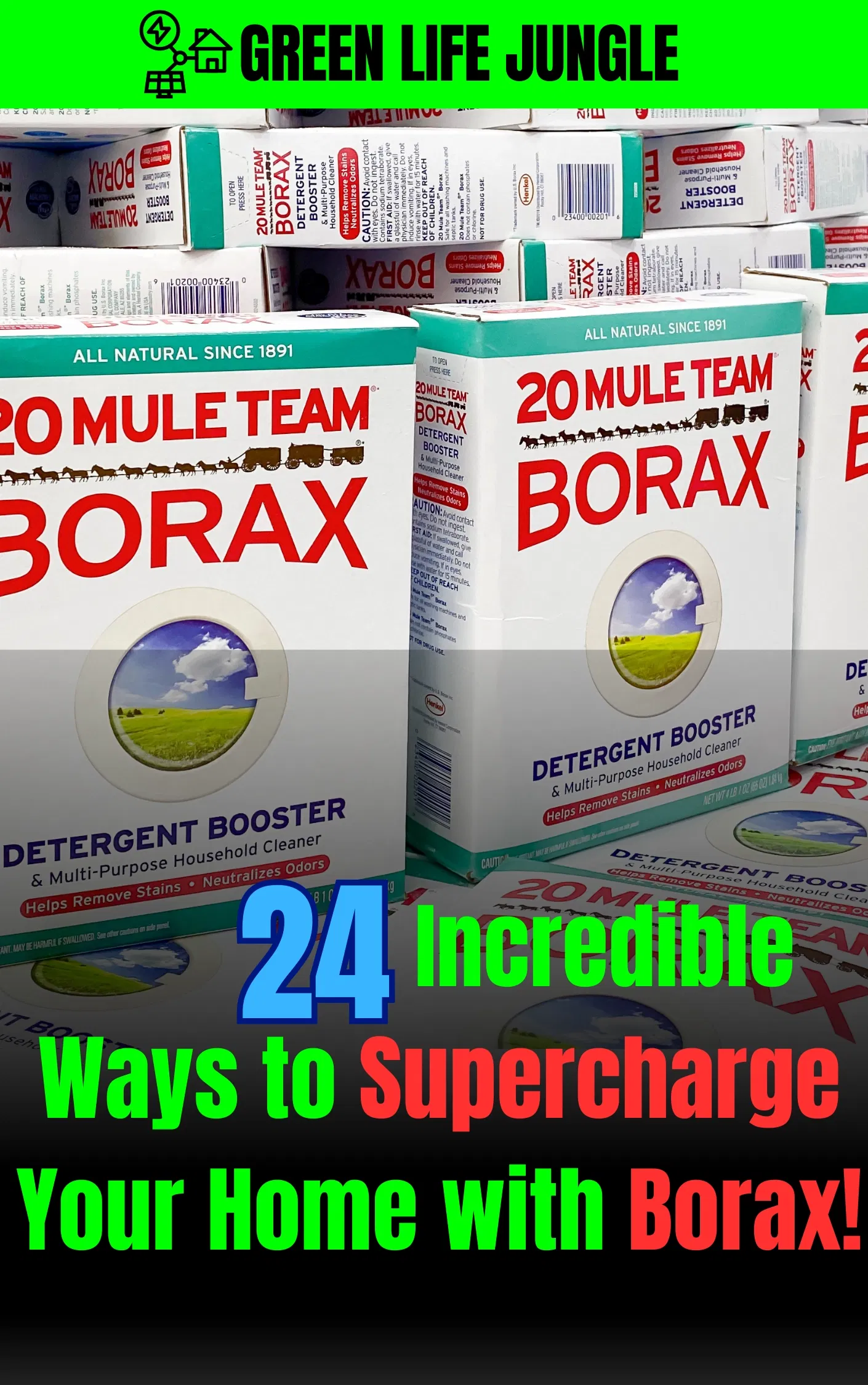 24 Borax Uses